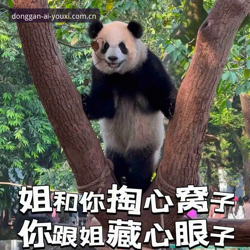 爱游戏体育中国无需加载 老用户掏心窝子聊聊爱游戏体育中国无需加载的实战体验